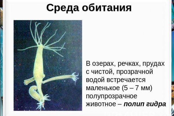 Kra49.at
