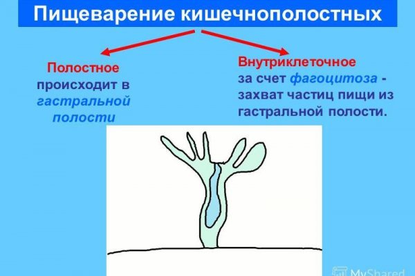 Кракен ссылка работает