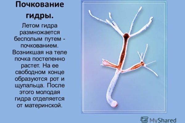 Кракен тор ссылка сегодня