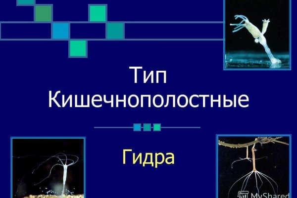 Актуальная ссылка на кракен kraken