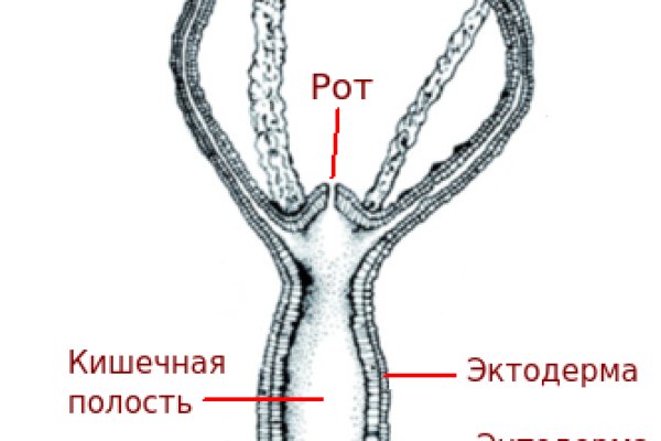 Кракен сайт даркнет ссылка