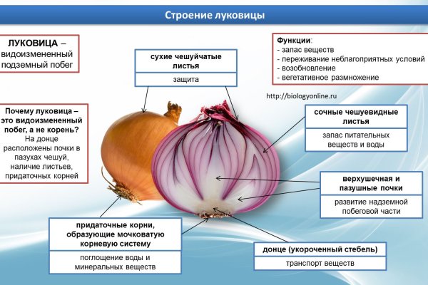 Вывести деньги с кракена