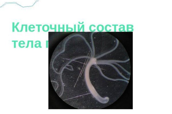 Кракен наркошоп ссылка