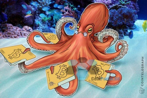 Kraken ссылка kraken torion