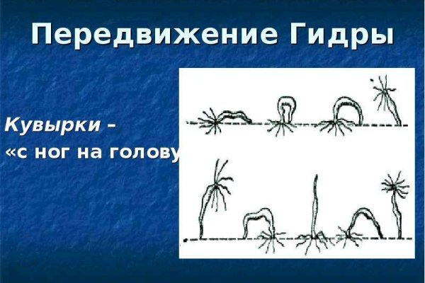 Кракен сайт даркнет зеркало