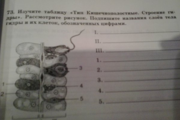Кракен верное зеркало