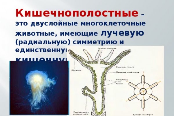 Кракен правила площадки