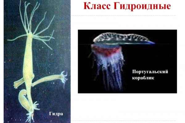 Кракен даркнет поддержка