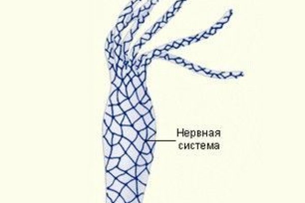 Кракен это даркнет