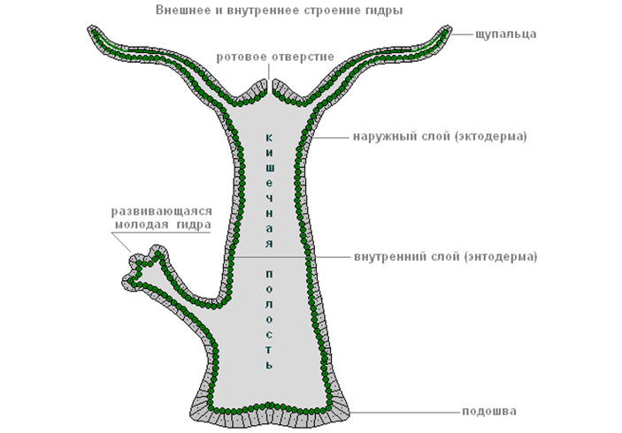 Кракен магазин kraken4am com