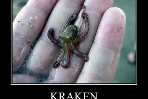 2krn live
